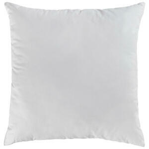 Boxxx VÝPLŇ POLŠTÁŘE 60/60 cm