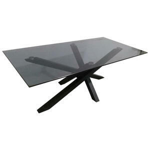 Xora KONFERENČNÍ STOLEK, šedá, černá, kov, sklo, 120/60/45 cm