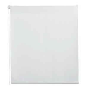 Homeware ROLETA, poloprůhledné, 60/160 cm