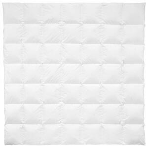 Billerbeck CELOROČNÍ PŘIKRÝVKA, 200/200 cm, prachové peří
