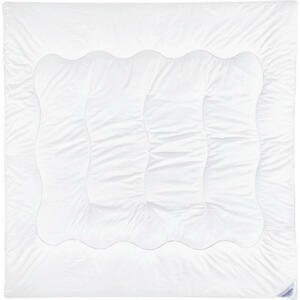 Sleeptex CELOROČNÍ PŘIKRÝVKA, 200/200 cm, polyester