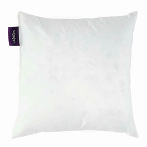 Sleeptex VÝPLŇ POLŠTÁŘE 50/50 cm