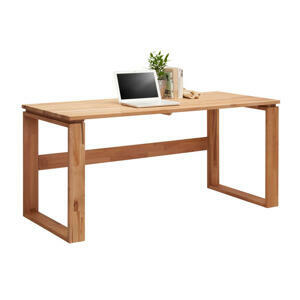 Linea Natura PSACÍ STŮL, barvy buku, 160/70/75 cm