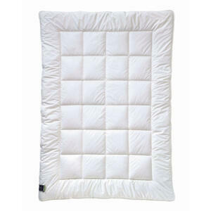 Billerbeck ZIMNÍ PŘIKRÝVKA, 135/200 cm, polyester