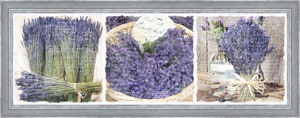 Rámovaný obraz 30x90 cm FAP248