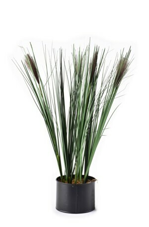 Mondex Umelá kvetina GRASS 54 cm zelená