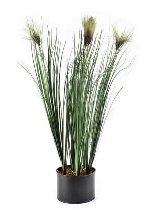 Mondex Umelá kvetina GRASS 64 cm zelená/hnedá