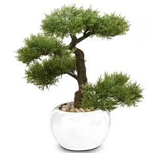 BOLTZE Bonsaj v bielom kvetináči 33 cm
