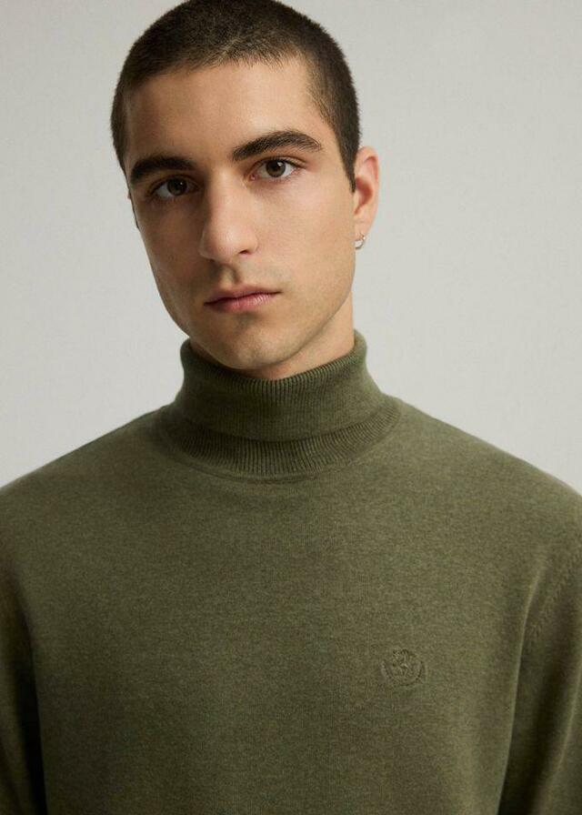 Diverse Svetr pánský SEENS