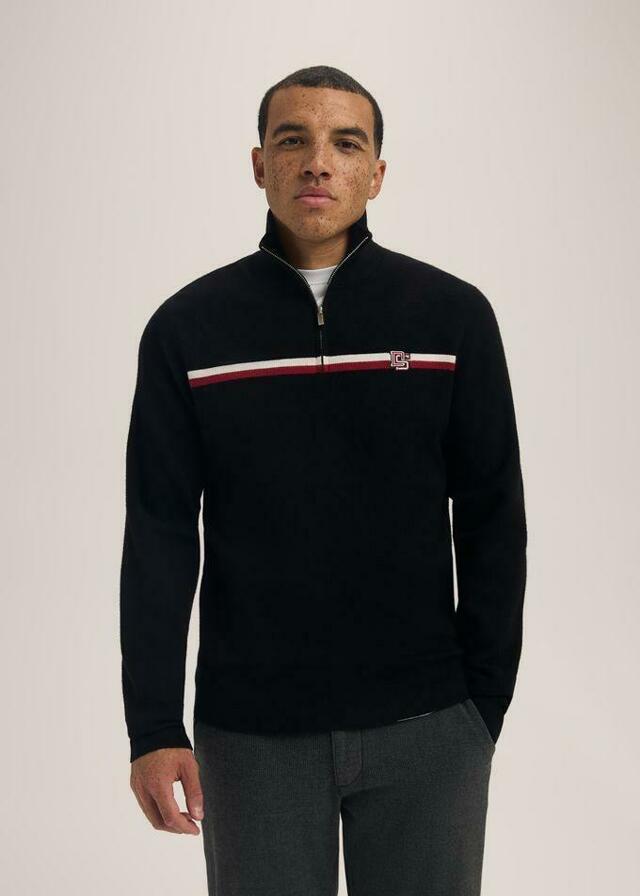 Diverse Svetr pánský EMSON