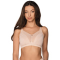 Soft model 173296 Gaia (3633916) - 1