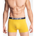 Boxerky Atlantic 3BMH-011 A'3 M-2XL (2576244) - 7