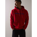 Diverse Pánská mikina COREHOODY (4564069) - 2